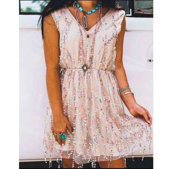 ✨ Southern Fried Chics Shimmy Sequin Dress Size Small ✨ - Picture 1 of 10